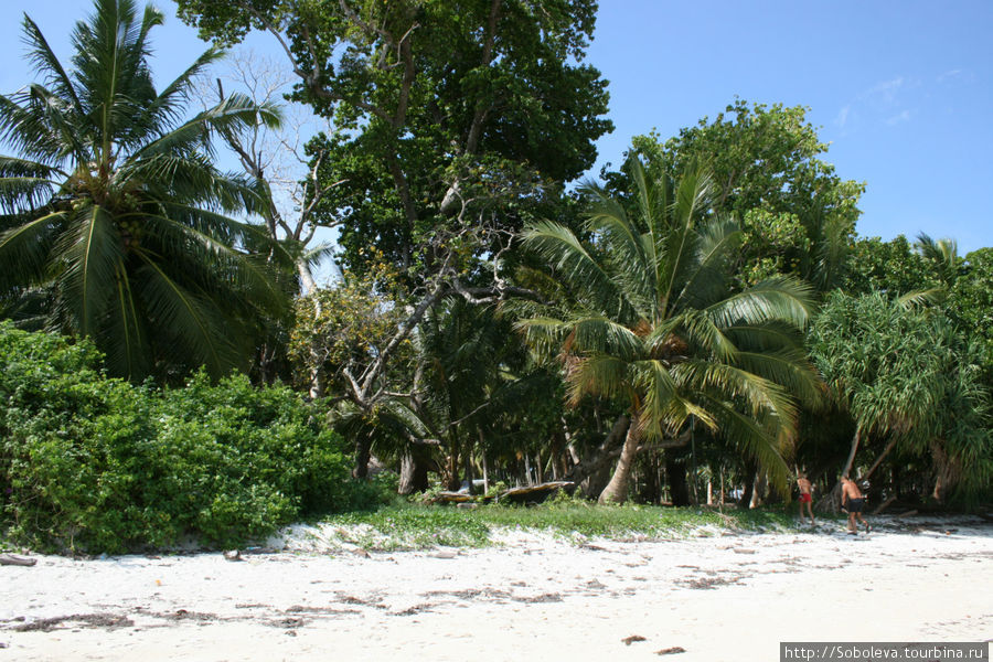 Андаманские острова, Havelock Island