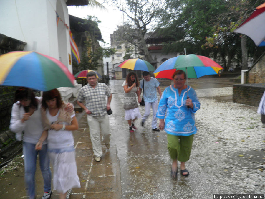 К моменту нашего появления в храме святого Зуба Будды пошел дождь