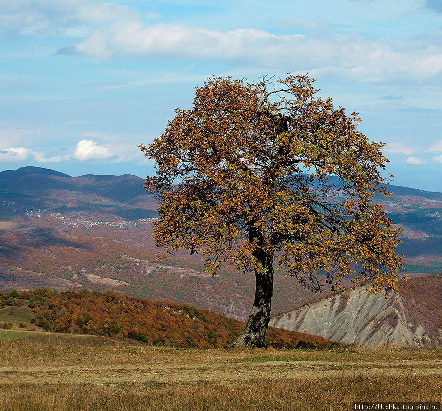 Осень в Сакартвело