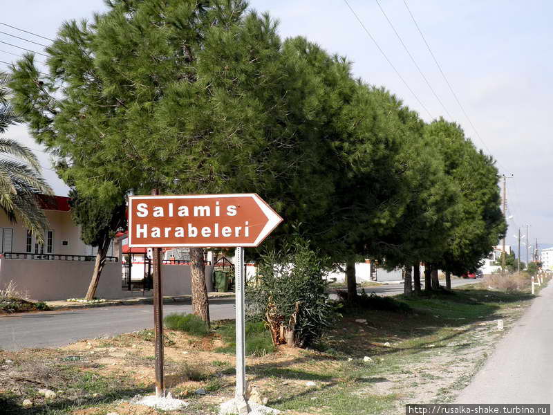 Древний город  Саламис