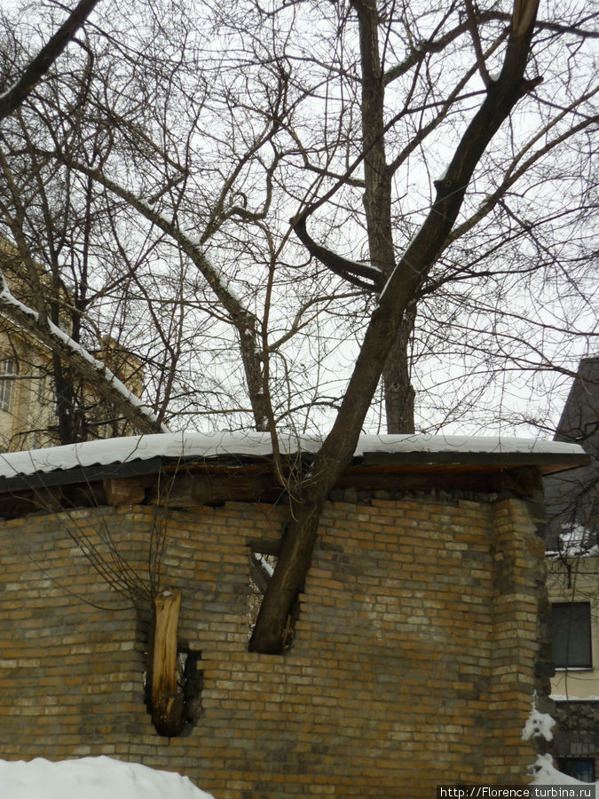 Новый Разгуляй Москва, Россия Новый Разгуляй Москва, Россия