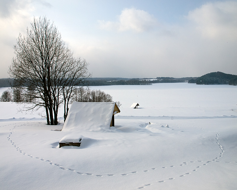 Вид на озеро Масельгское с его восточного берега. Морщихинская, Россия