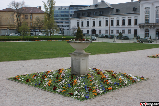 Одна из геометрически правильных клумб Братислава, Словакия