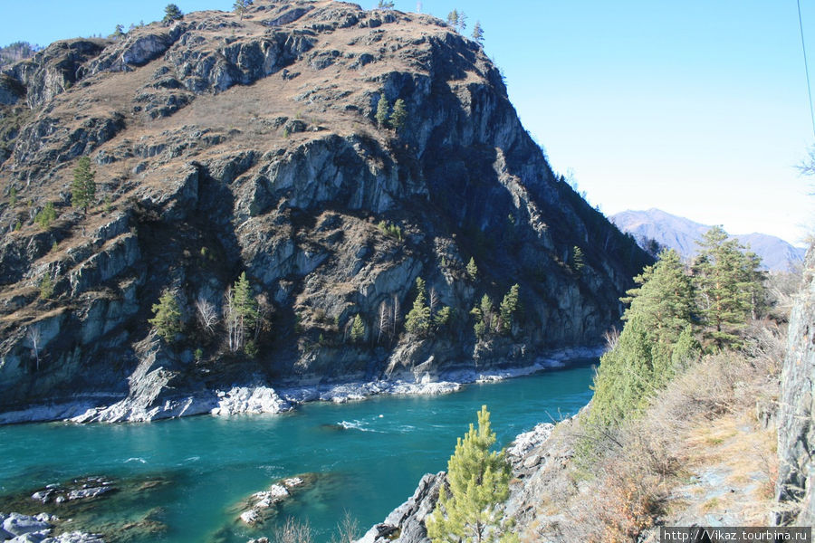 Чемал и красивейшая река — Катунь