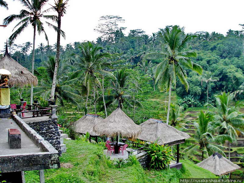 Природа Бали, картинки с натуры Индонезия