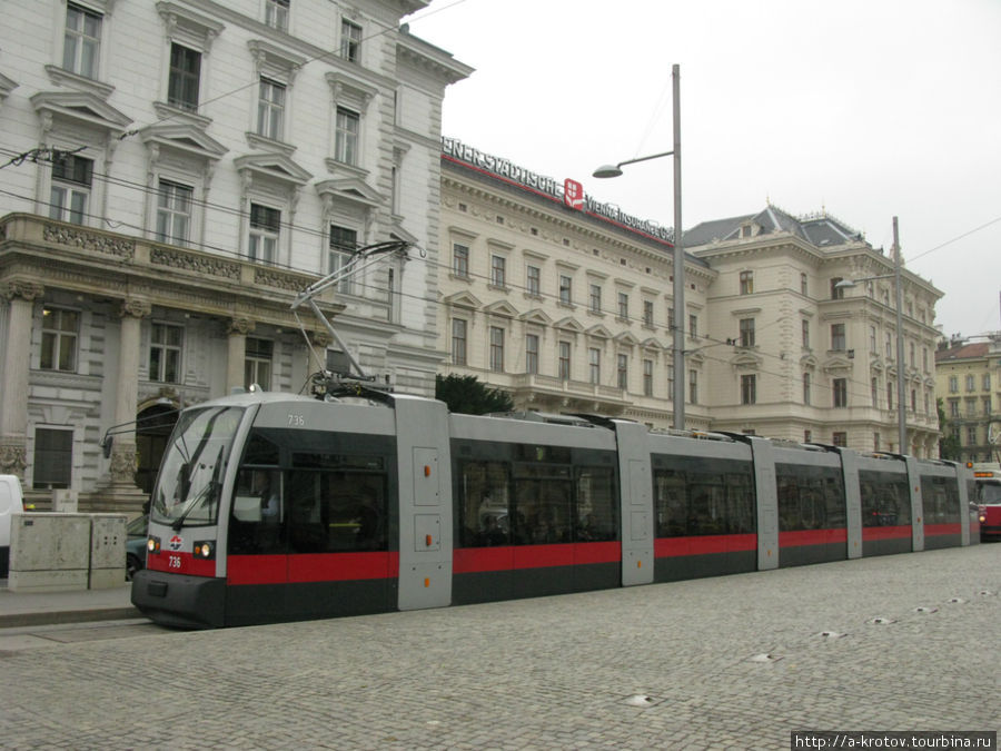 Длинный трамвай. Проезд 1,8 евро, вполне приемлемо Вена, Австрия