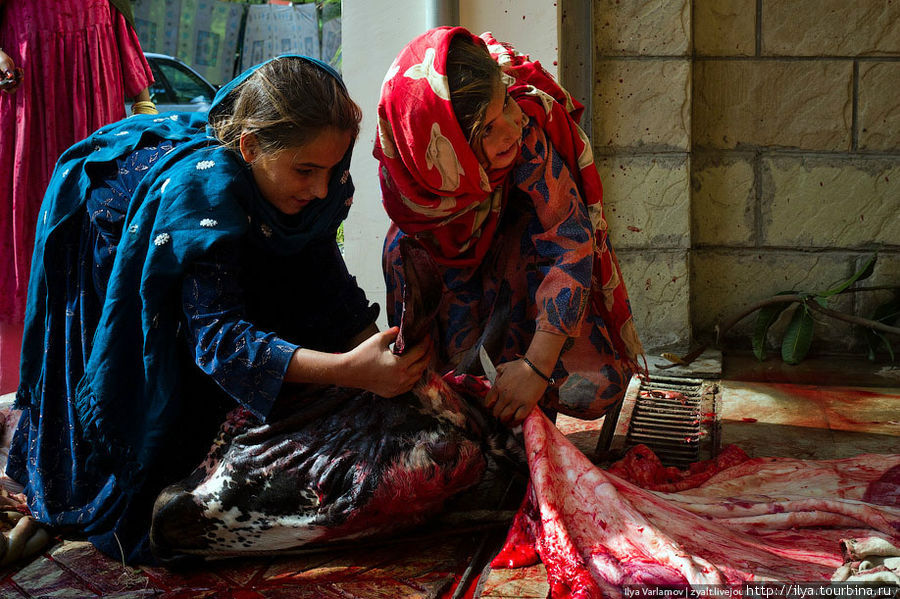 У детей ножи. Добрые хозяева разрешают им отрезать кусочек головы или покопаться в обрезках. Исламабад, Пакистан