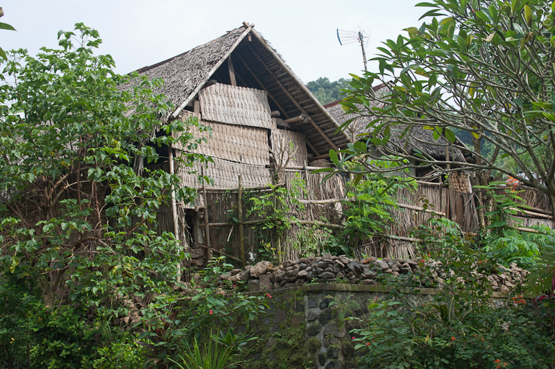 Так выглядят дома в деревне. Тенганан, Индонезия
