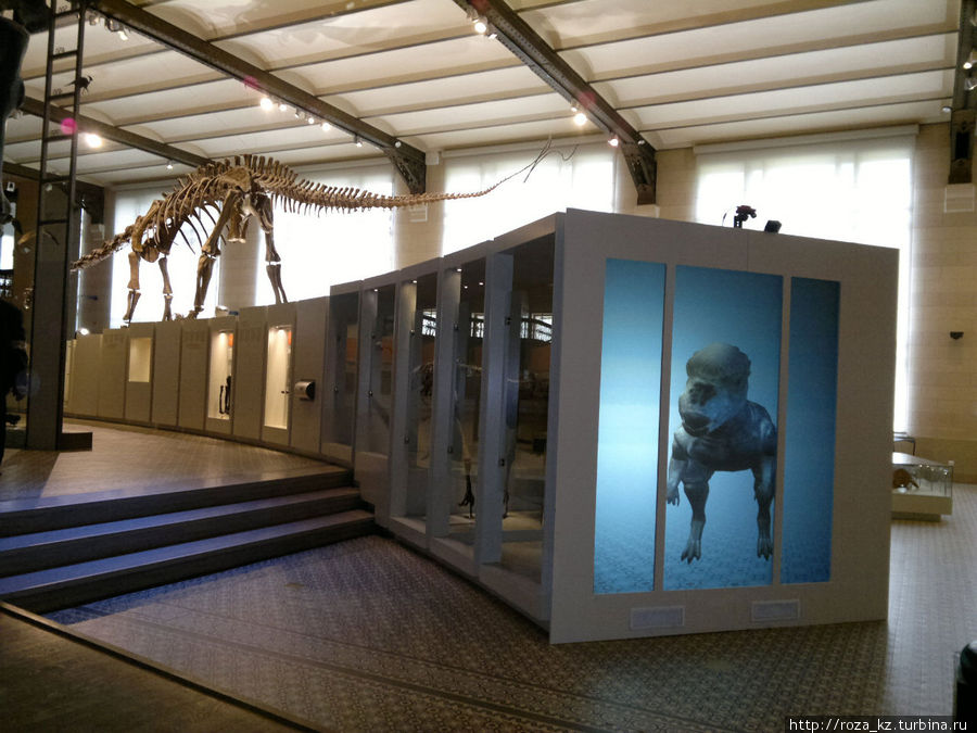 Мультфильм как будто животное за клеткой в зоопарке Брюссель, Бельгия
