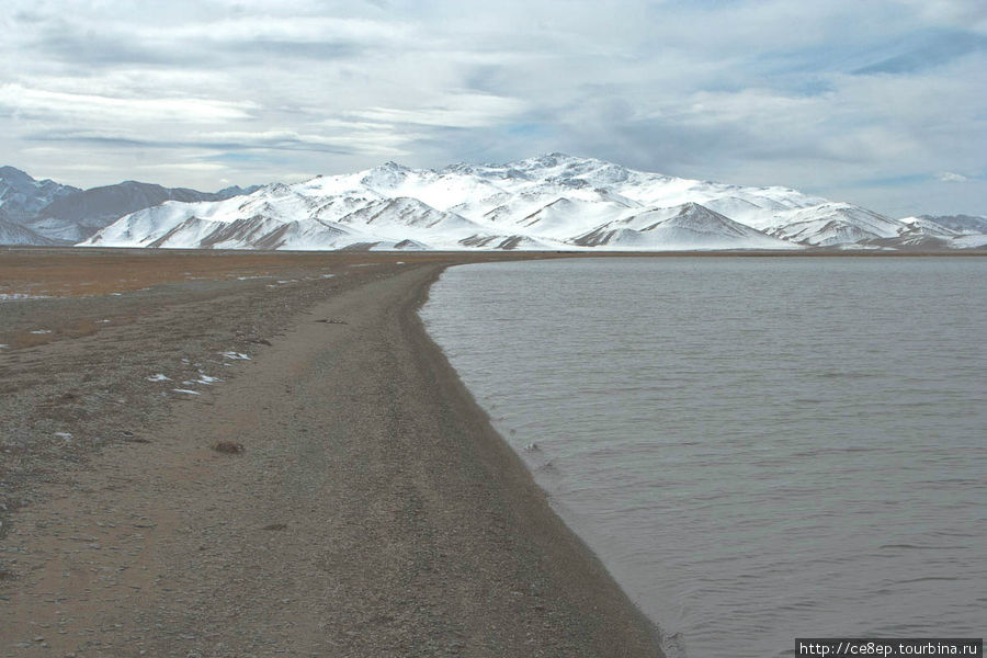 Озеро Каракуль и яки Озеро Каракуль, Таджикистан