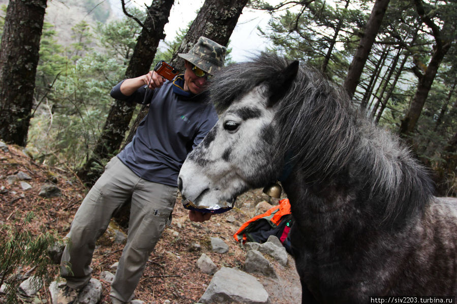 Толик и Конь Лобуче, Непал
