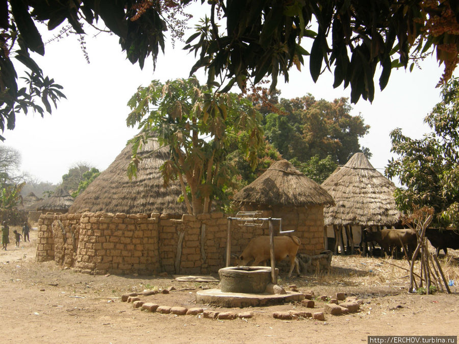 Африканский домик Провинция Канкан, Гвинея