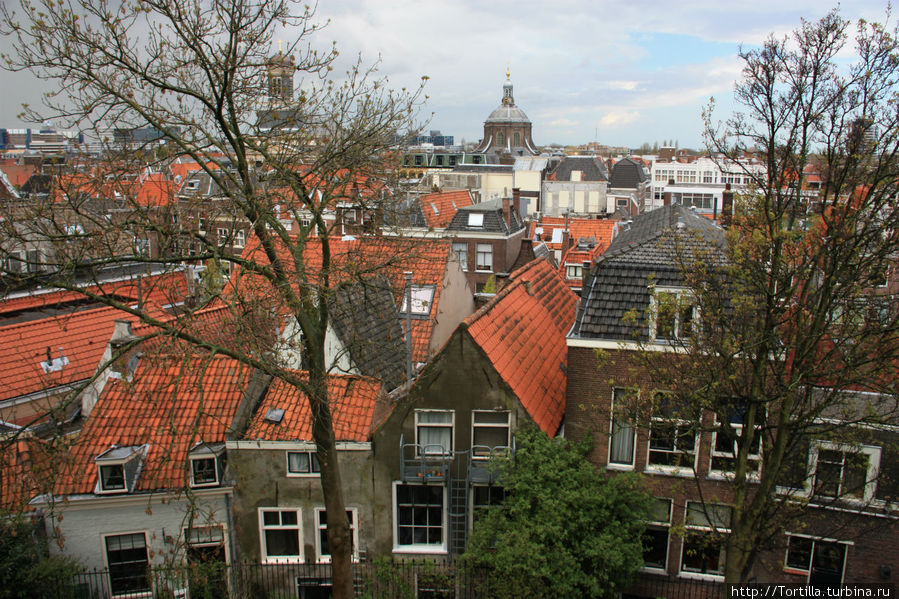 Нидерланды. Лейден. Вид на город со стен крепости Лейден, Нидерланды