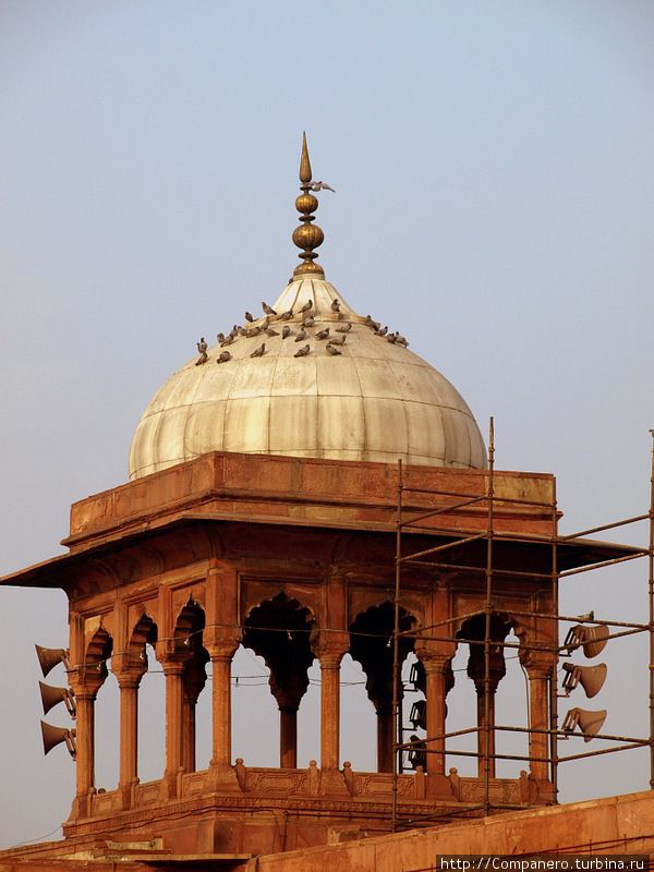 Мечеть Джама Масджид. Дели, Индия