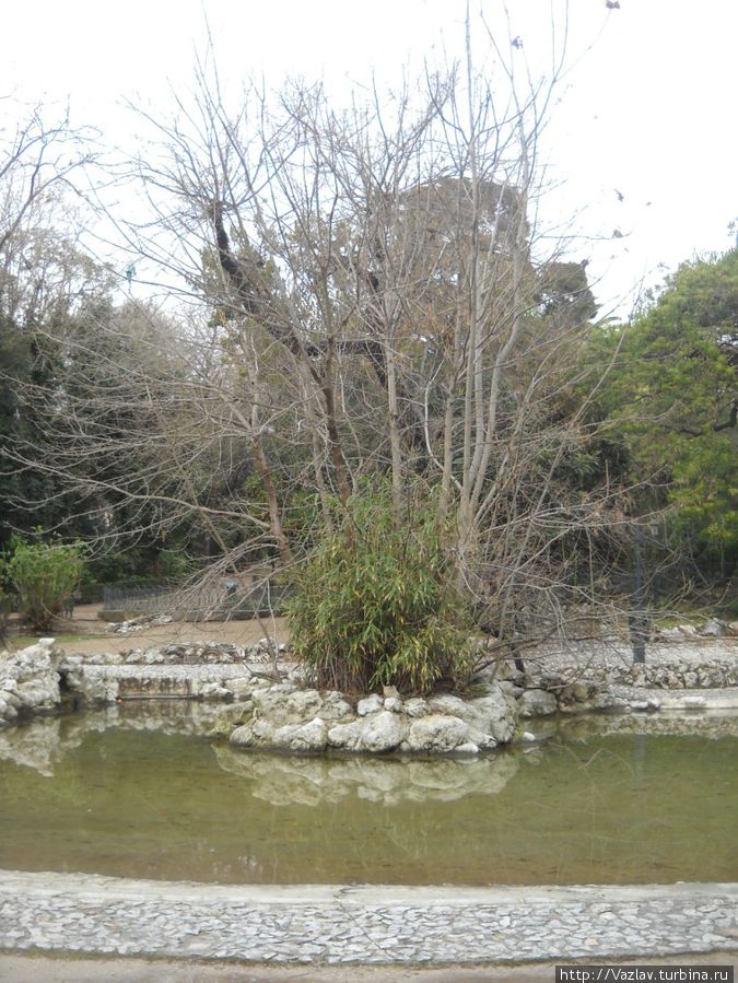 Возле пруда Возле пруда