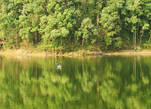 Кажется, что озеро многоцветное. Там, где зеленеют горные склоны, воды озера,  отражая склонившиеся деревья, приобретают ярко  зеленый цвет