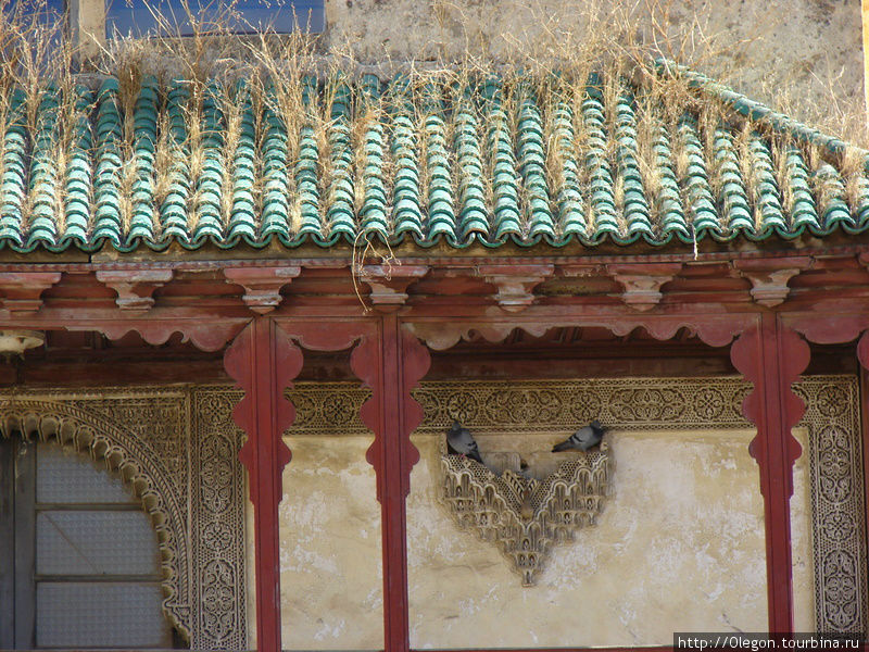 Под заросшей крышей две голубки Фес, Марокко
