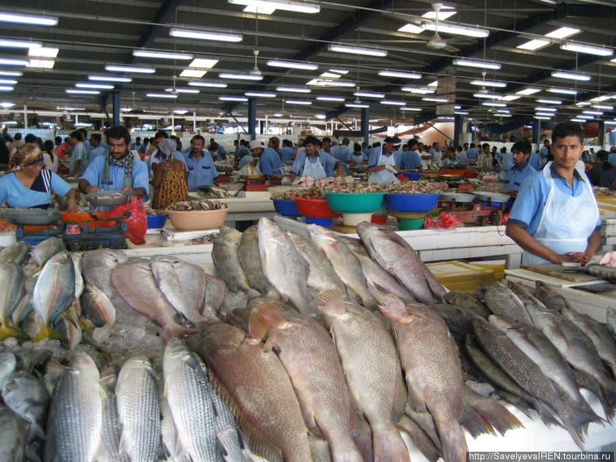 Рыбный рынок огромных размеров. Дубай, ОАЭ