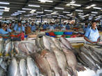 Рыбный рынок огромных размеров.