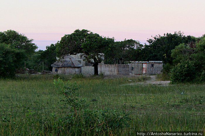 Шапа под звёздным небом Провинция Мапуту, Мозамбик