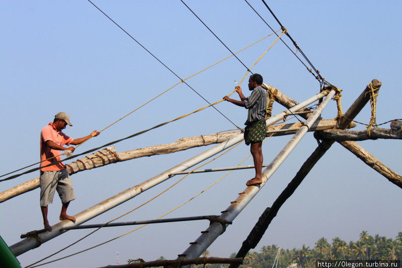 Один или двое проходят по балкам вверх, своим весом опуская сеть в воду Кочи, Индия