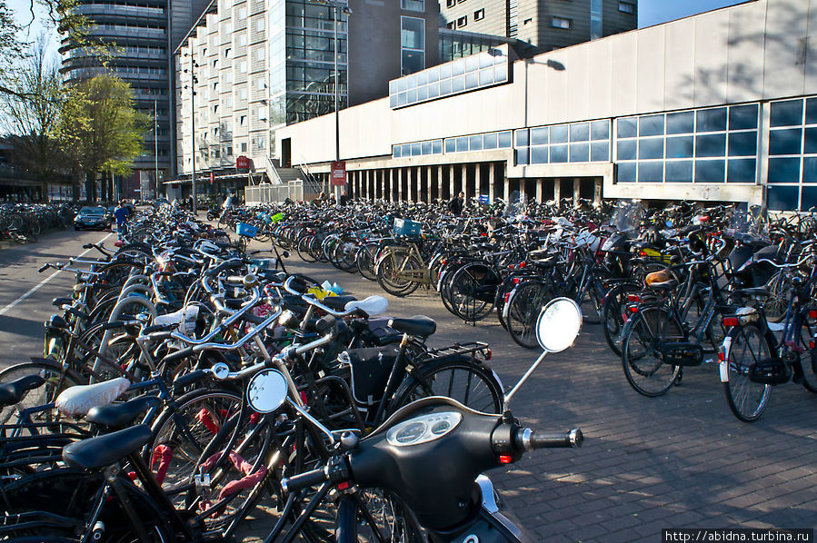 Велосипедная столица Европы Амстердам, Нидерланды