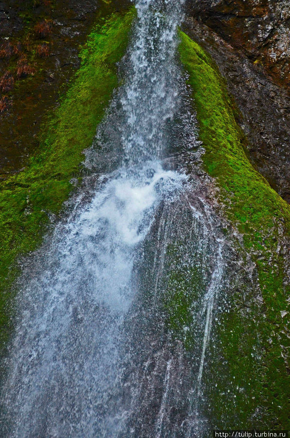 Наедине с водопадом Олимпик Национальный Парк, CША