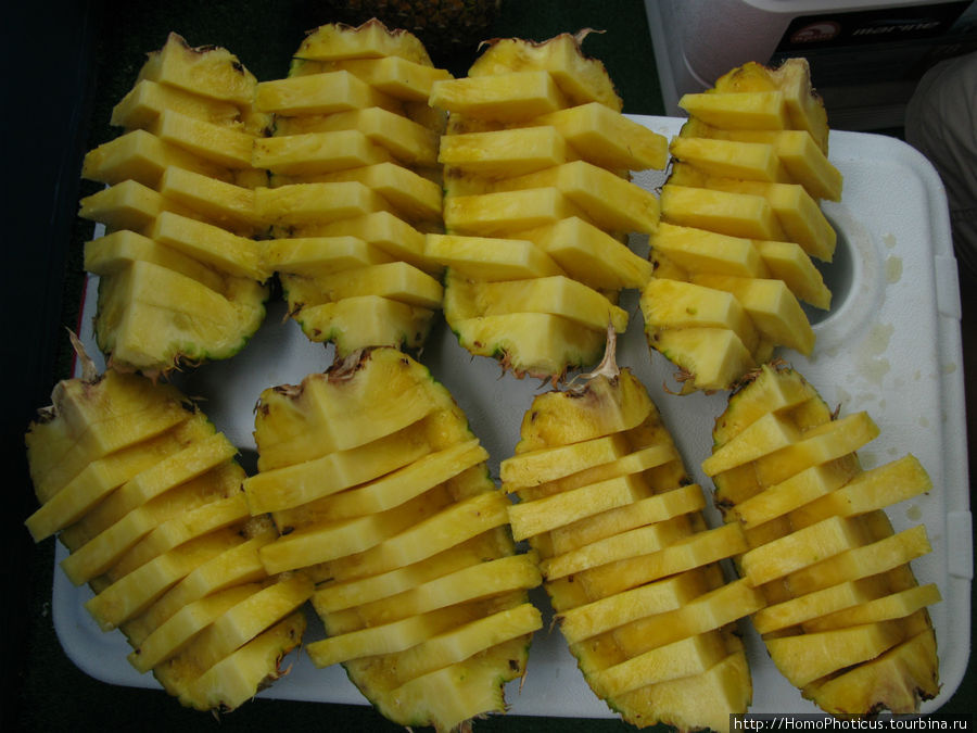 Вкуснейший ананас:) Провинция Алахуэла, Коста-Рика