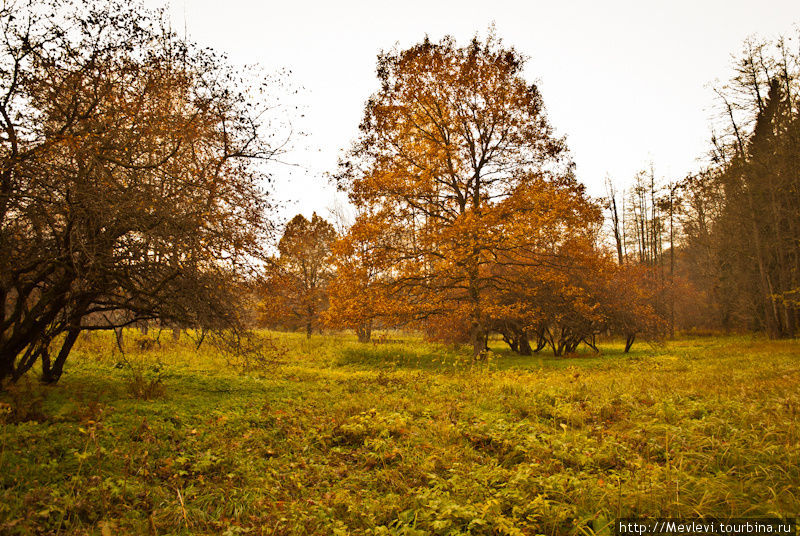 Сигулда осенью Сигулда, Латвия