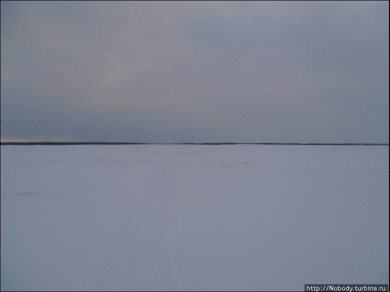 По снежной целине. Коткино — Нижняя Пёша Ненецкий автономный округ, Россия