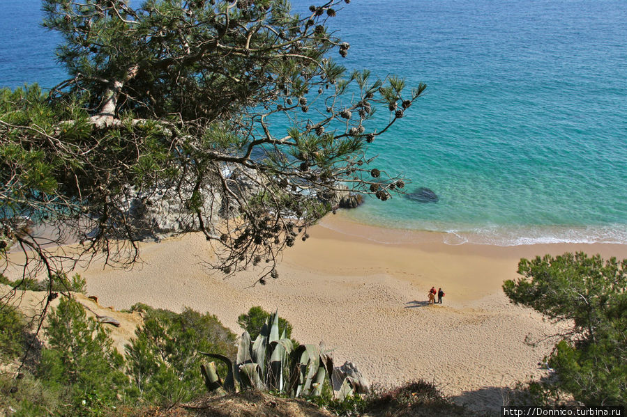 Sa Boadella известный нудистский пляж Ллорет-де-Мар, Испания