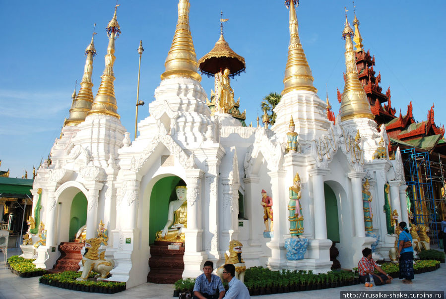 Нондоджи Янгон, Мьянма