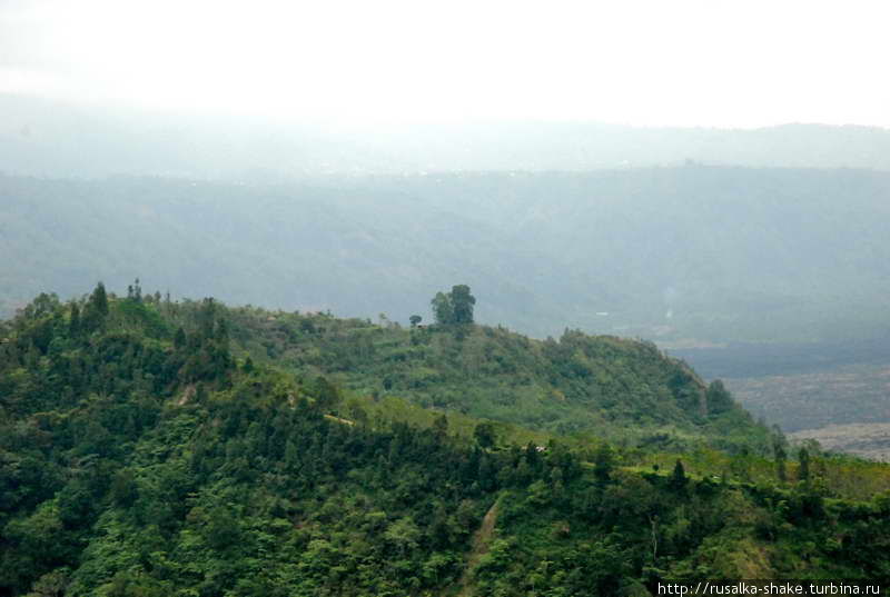 Кинтамани в тумане и строительных лесах Бангли, Индонезия