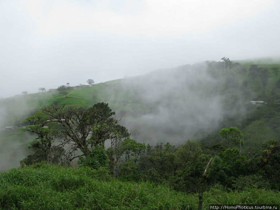 Дождевой лес в тумане Провинция Алахуэла, Коста-Рика