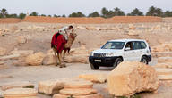 Водитель джипа, похоже, пытается узнать дорогу у верблюдчика.