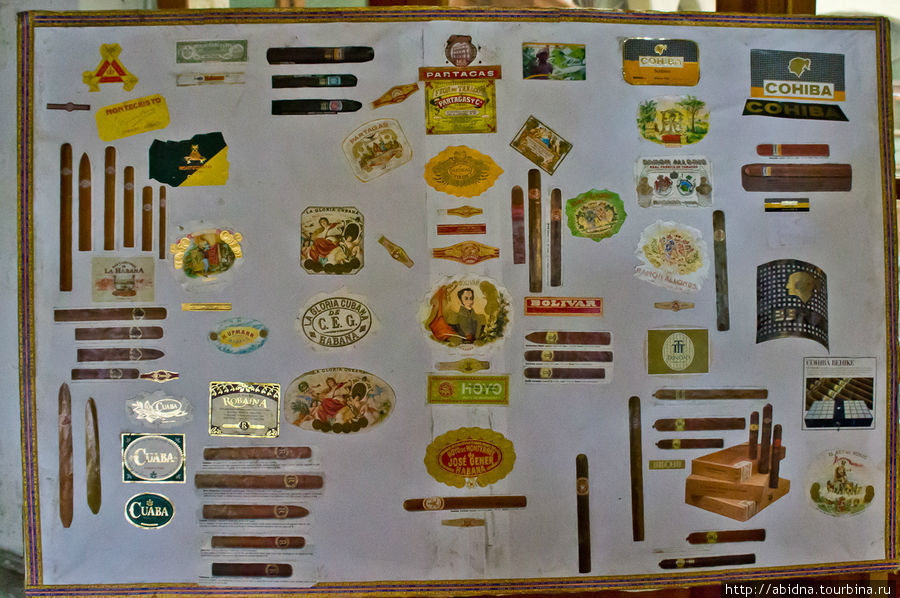 Все марки сигар, которые делают на фабрике Partagas Гавана, Куба