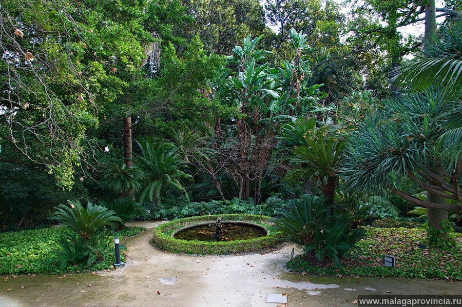 Ботанический сад La Concepción Малага, Испания