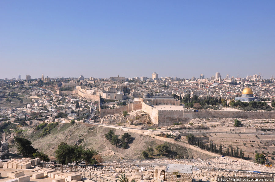 Вид на Кедронское ущелье, что отделяет Масличную гору от Храмовой, и укрепленный во времена Ирода Великого участок в юго-восточной части города.