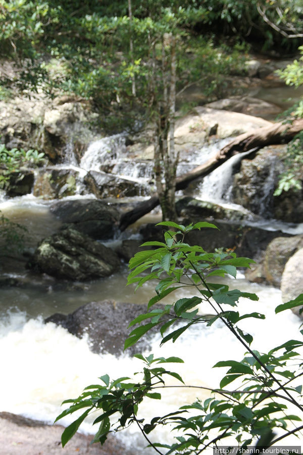 Мир без виз — 360. Водопад Хаеу Суват и джунгли Кхао-Яй Национальный Парк, Таиланд