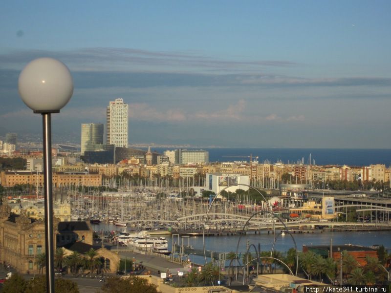 Как я провела 2011 год Как я провела 2011 год