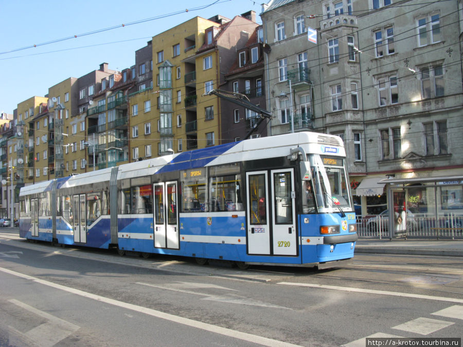 Много трамваев разных форм и разной протяжённости Вроцлав, Польша