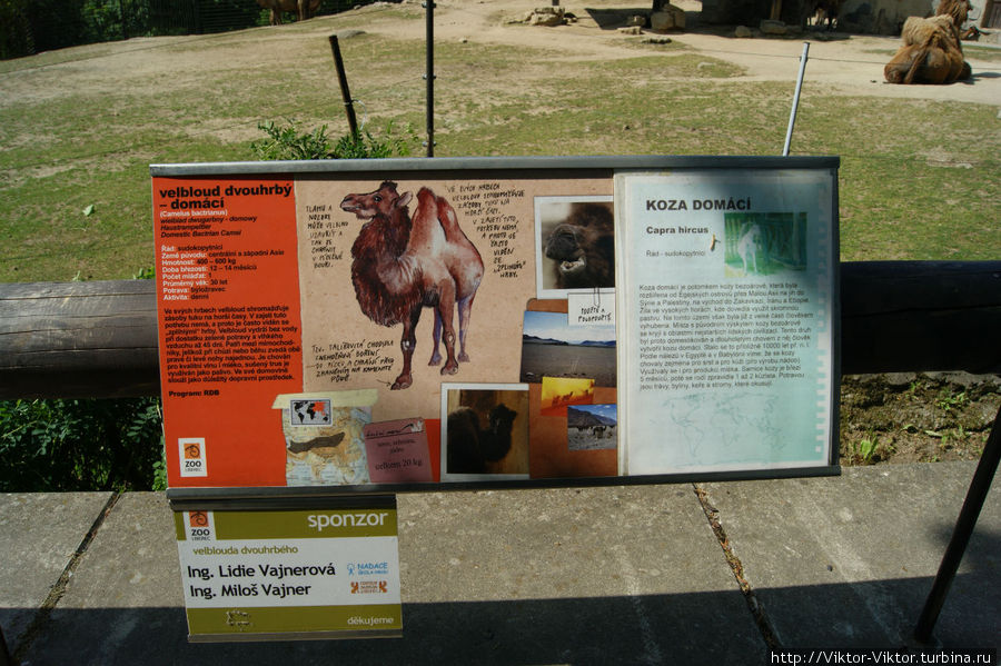 Зоопарк города Либерец Либерец, Чехия