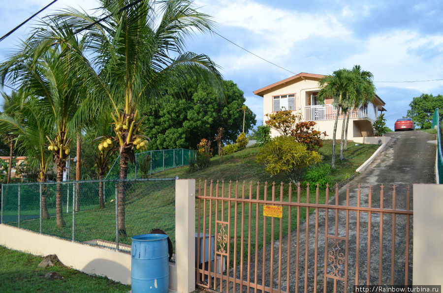 Встречи и открытия на дорогах Пуэрто-Рико Кабо-Рохо, Пуэрто-Рико Встречи и открытия на дорогах Пуэрто-Рико Кабо-Рохо, Пуэрто-Рико