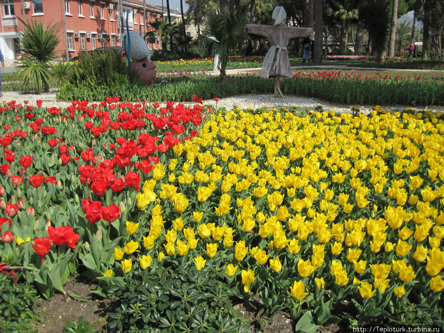 Тюльпаны на центральной площади Аланьи Алания, Турция