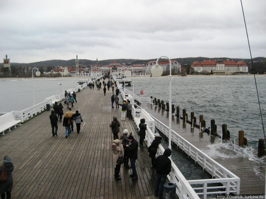 Балтийское море, чайки и самый длинный мол в Европе