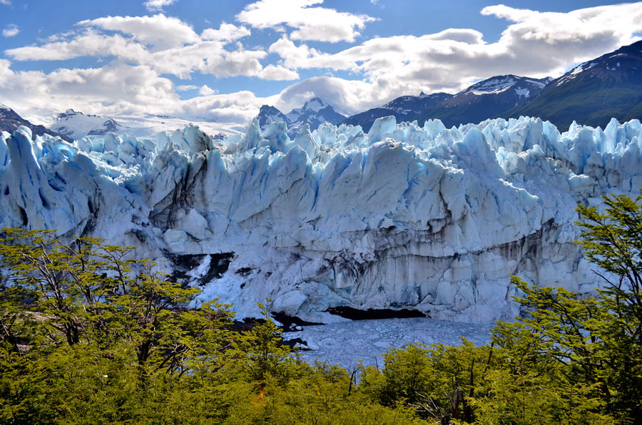 И еще — сочетание цветов. Голубое небо, бело-синий лед и зеленые листья покрывающих полуостров Магеллана деревьев.. Лос-Гласьярес Национальный парк, Аргентина