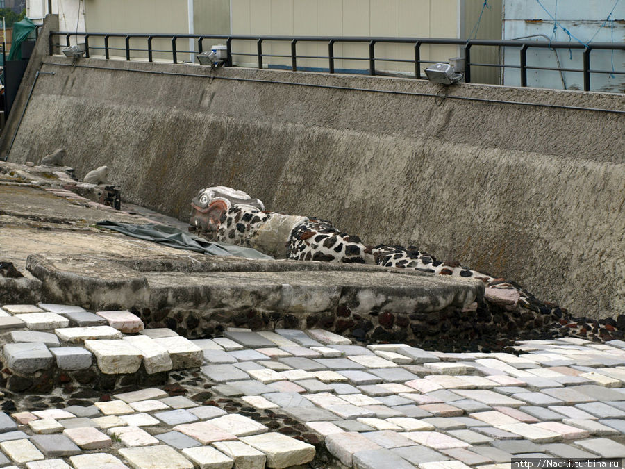 Змея — священое животное для ацтеков Мехико, Мексика
