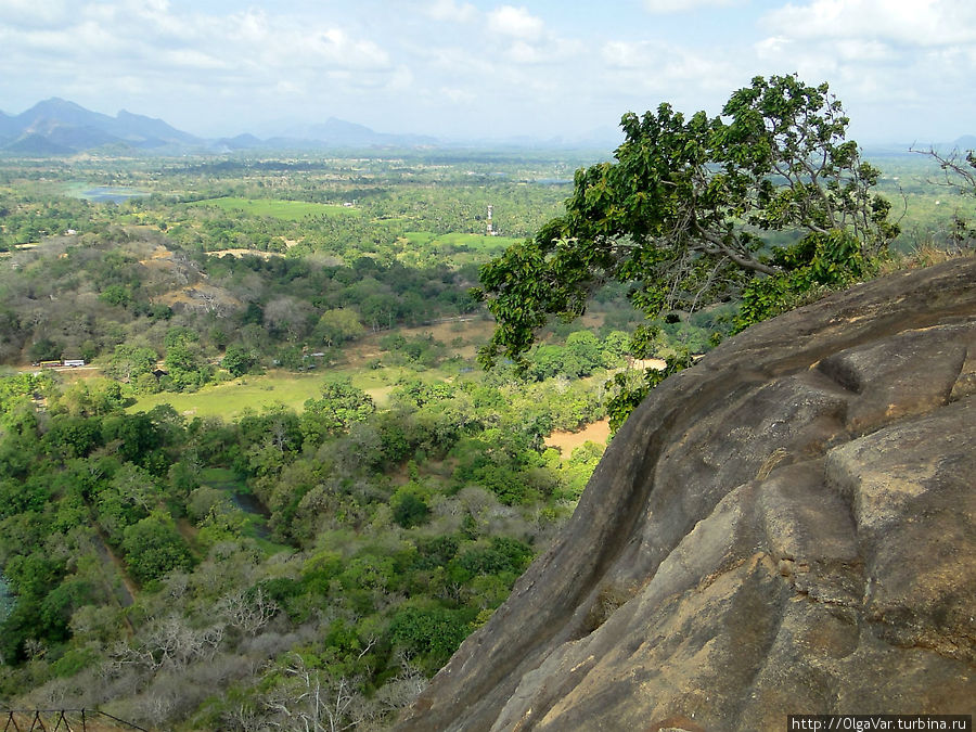 А внизу — зелень джунглей Сигирия, Шри-Ланка