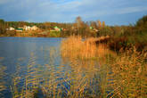 Рощинское озеро со стороны Преображенского ансамбля, вид на деревню
