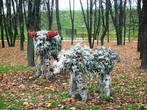 Скульптуры лосей из растений переносят горожан и гостей Дмитрова в сказочную обстановку зоны отдыха для детей.